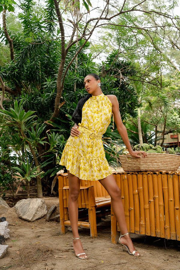 ISLE DRESS