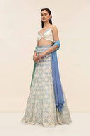 Nemo Lehenga